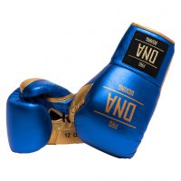 Боксерские перчатки DNA Pro Boxing STINGER Blue/Gold