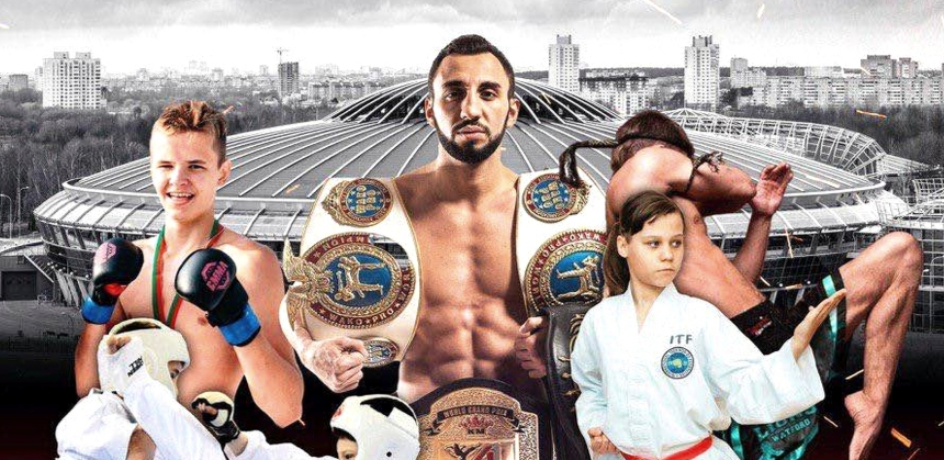 Профессиональным турнир  MMA, K-1, Каратэ Кёкусинкай и Таэквондо   ITF -  BFC 48⠀